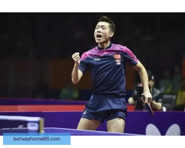 必威体育在线全新体验攻略与赛事资讯深度解析指南