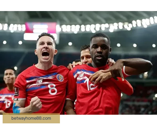 世界杯足球竞猜入口全面指南助你轻松掌握投注技巧