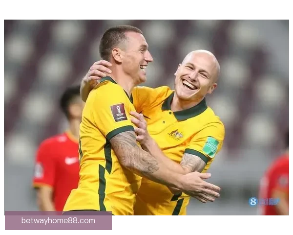 世界杯买球网站安全可靠指南与投注技巧全面解析