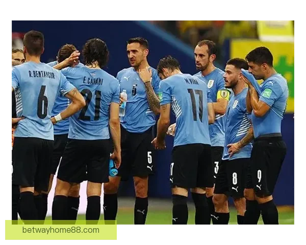 世界杯竞猜赔率网站全面解析与投注技巧深度指南